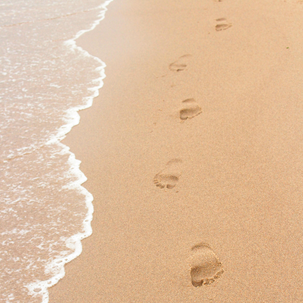 Hoe gaan wij te werk